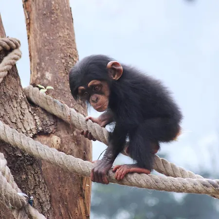 Western Hohenzollern Hotel Osnabrück